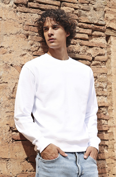 Fruit of the Loom Iconic 250 Set-In Sweat